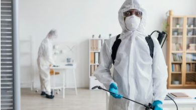 Unverzichtbare Dienstleistungen für die Instandhaltung einer sicheren und ansprechenden Immobilie